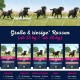 Eukanuba Dog Food for Large Breeds, Premium Dry Food with Fresh Chicken, 15 kg Eukanuba Dog Food for Large Breeds, Premium Dry Food with Fresh Chicken, 15 kg
