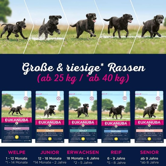 Eukanuba Dog Food for Large Breeds, Premium Dry Food with Fresh Chicken, 15 kg Eukanuba Dog Food for Large Breeds, Premium Dry Food with Fresh Chicken, 15 kg