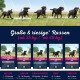 Eukanuba Dog Food for Large Breeds, Premium Dry Food with Fresh Chicken, 15 kg Eukanuba Dog Food for Large Breeds, Premium Dry Food with Fresh Chicken, 15 kg