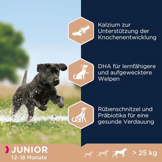 Eukanuba Dog Food for Large Breeds, Premium Dry Food with Fresh Chicken, 15 kg Eukanuba Dog Food for Large Breeds, Premium Dry Food with Fresh Chicken, 15 kg