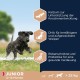 Eukanuba Dog Food for Large Breeds, Premium Dry Food with Fresh Chicken, 15 kg Eukanuba Dog Food for Large Breeds, Premium Dry Food with Fresh Chicken, 15 kg