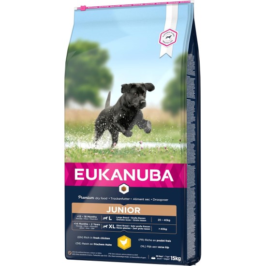 Eukanuba Dog Food for Large Breeds, Premium Dry Food with Fresh Chicken, 15 kg Eukanuba Dog Food for Large Breeds, Premium Dry Food with Fresh Chicken, 15 kg