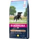 Eukanuba Dog Food for Large Breeds, Premium Dry Food with Fresh Chicken, 15 kg Eukanuba Dog Food for Large Breeds, Premium Dry Food with Fresh Chicken, 15 kg