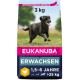 Eukanuba Dog Food for Large Breeds, Premium Dry Food with Fresh Chicken, 15 kg Eukanuba Dog Food for Large Breeds, Premium Dry Food with Fresh Chicken, 15 kg