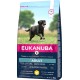 Eukanuba Dog Food for Large Breeds, Premium Dry Food with Fresh Chicken, 15 kg Eukanuba Dog Food for Large Breeds, Premium Dry Food with Fresh Chicken, 15 kg