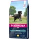 Eukanuba Dog Food for Large Breeds, Premium Dry Food with Fresh Chicken, 15 kg Eukanuba Dog Food for Large Breeds, Premium Dry Food with Fresh Chicken, 15 kg