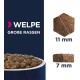 Eukanuba Dog Food for Large Breeds, Premium Dry Food with Fresh Chicken, 15 kg Eukanuba Dog Food for Large Breeds, Premium Dry Food with Fresh Chicken, 15 kg