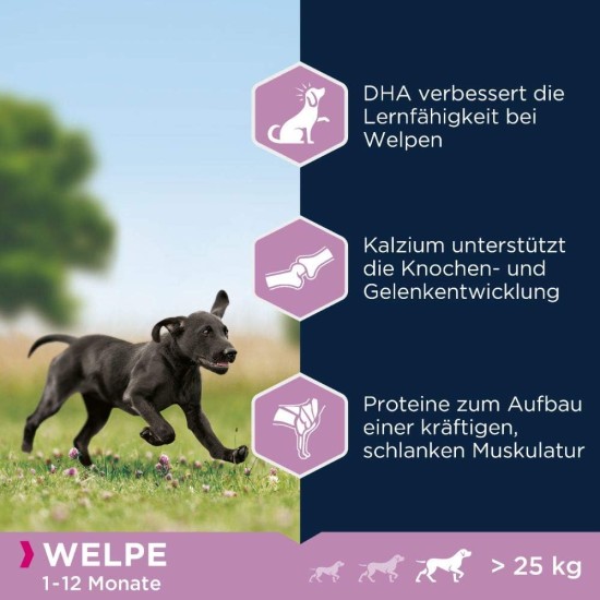 Eukanuba Dog Food for Large Breeds, Premium Dry Food with Fresh Chicken, 15 kg Eukanuba Dog Food for Large Breeds, Premium Dry Food with Fresh Chicken, 15 kg