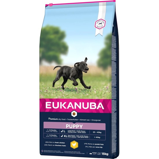 Eukanuba Dog Food for Large Breeds, Premium Dry Food with Fresh Chicken, 15 kg Eukanuba Dog Food for Large Breeds, Premium Dry Food with Fresh Chicken, 15 kg