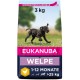 Eukanuba Dog Food for Large Breeds, Premium Dry Food with Fresh Chicken, 15 kg Eukanuba Dog Food for Large Breeds, Premium Dry Food with Fresh Chicken, 15 kg