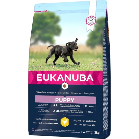 Eukanuba Dog Food for Large Breeds, Premium Dry Food with Fresh Chicken, 15 kg Eukanuba Dog Food for Large Breeds, Premium Dry Food with Fresh Chicken, 15 kg