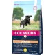 Eukanuba Dog Food for Large Breeds, Premium Dry Food with Fresh Chicken, 15 kg Eukanuba Dog Food for Large Breeds, Premium Dry Food with Fresh Chicken, 15 kg