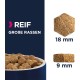 Eukanuba Dog Food for Large Breeds, Premium Dry Food with Fresh Chicken, 15 kg Eukanuba Dog Food for Large Breeds, Premium Dry Food with Fresh Chicken, 15 kg
