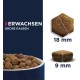 Eukanuba Dog Food with Lamb and Rice for Large Breeds, Premium Dry Food for Puppies, Adults, Senior, Various Sizes Eukanuba Dog Food with Lamb and Rice for Large Breeds, Premium Dry Food for Puppies, Adults, Senior, Various Sizes