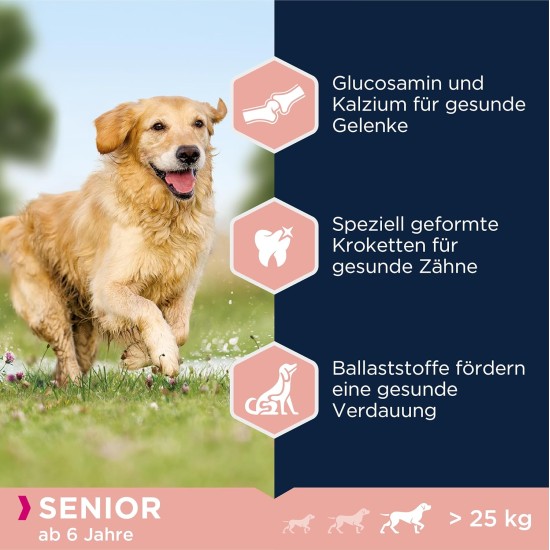 Eukanuba Dog Food with Lamb and Rice for Large Breeds, Premium Dry Food for Puppies, Adults, Senior, Various Sizes Eukanuba Dog Food with Lamb and Rice for Large Breeds, Premium Dry Food for Puppies, Adults, Senior, Various Sizes