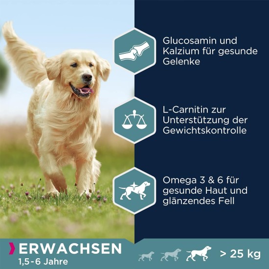 Eukanuba Dog Food with Lamb and Rice for Large Breeds, Premium Dry Food for Puppies, Adults, Senior, Various Sizes Eukanuba Dog Food with Lamb and Rice for Large Breeds, Premium Dry Food for Puppies, Adults, Senior, Various Sizes