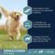Eukanuba Dog Food with Lamb and Rice for Large Breeds, Premium Dry Food for Puppies, Adults, Senior, Various Sizes Eukanuba Dog Food with Lamb and Rice for Large Breeds, Premium Dry Food for Puppies, Adults, Senior, Various Sizes
