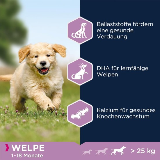 Eukanuba Dog Food with Lamb and Rice for Large Breeds, Premium Dry Food for Puppies, Adults, Senior, Various Sizes Eukanuba Dog Food with Lamb and Rice for Large Breeds, Premium Dry Food for Puppies, Adults, Senior, Various Sizes