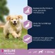 Eukanuba Dog Food with Lamb and Rice for Large Breeds, Premium Dry Food for Puppies, Adults, Senior, Various Sizes Eukanuba Dog Food with Lamb and Rice for Large Breeds, Premium Dry Food for Puppies, Adults, Senior, Various Sizes