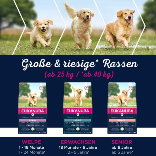 Eukanuba Dog Food with Lamb and Rice for Large Breeds, Premium Dry Food for Puppies, Adults, Senior, Various Sizes Eukanuba Dog Food with Lamb and Rice for Large Breeds, Premium Dry Food for Puppies, Adults, Senior, Various Sizes