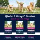 Eukanuba Dog Food with Lamb and Rice for Large Breeds, Premium Dry Food for Puppies, Adults, Senior, Various Sizes Eukanuba Dog Food with Lamb and Rice for Large Breeds, Premium Dry Food for Puppies, Adults, Senior, Various Sizes