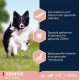 Eukanuba Dog Food with Lamb and Rice for Small/Medium Breed, 12 Kg Eukanuba Dog Food with Lamb and Rice for Small/Medium Breed, 12 Kg