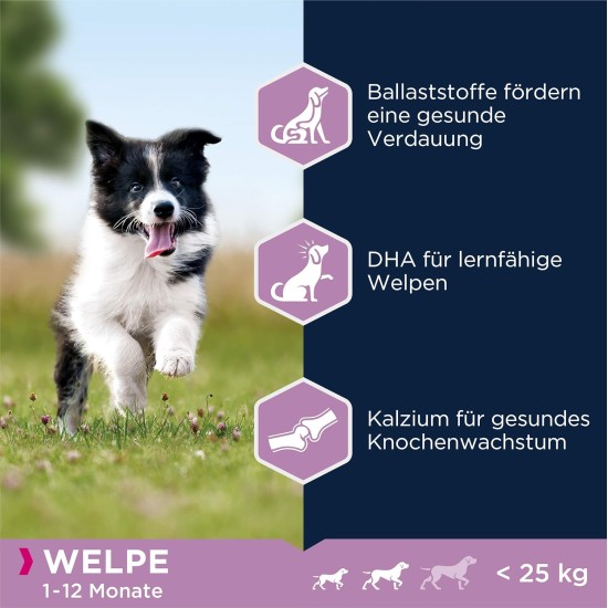 Eukanuba Dog Food with Lamb and Rice for Small/Medium Breed, 12 Kg Eukanuba Dog Food with Lamb and Rice for Small/Medium Breed, 12 Kg