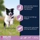 Eukanuba Dog Food with Lamb and Rice for Small/Medium Breed, 12 Kg Eukanuba Dog Food with Lamb and Rice for Small/Medium Breed, 12 Kg