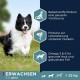 Eukanuba Dog Food with Lamb and Rice for Small/Medium Breed, 12 Kg Eukanuba Dog Food with Lamb and Rice for Small/Medium Breed, 12 Kg