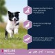 Eukanuba Dog Food with Lamb and Rice for Small/Medium Breed, 12 Kg Eukanuba Dog Food with Lamb and Rice for Small/Medium Breed, 12 Kg