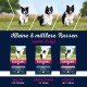 Eukanuba Dog Food with Lamb and Rice for Small/Medium Breed, 12 Kg Eukanuba Dog Food with Lamb and Rice for Small/Medium Breed, 12 Kg
