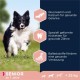 Eukanuba Dog Food with Lamb and Rice for Small/Medium Breed, 12 Kg Eukanuba Dog Food with Lamb and Rice for Small/Medium Breed, 12 Kg