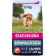 Eukanuba Dog Food with Salmon & Barley for Small and Medium Breeds - Dry Food for Adult Dogs, 12 kg Eukanuba Dog Food with Salmon & Barley for Small and Medium Breeds - Dry Food for Adult Dogs, 12 kg