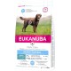 Eukanuba Dry Dog Food Adult Weight Control with Large Breed Chicken,15 kg Eukanuba Dry Dog Food Adult Weight Control with Large Breed Chicken,15 kg
