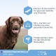 Eukanuba Dry Dog Food Adult Weight Control with Large Breed Chicken,15 kg Eukanuba Dry Dog Food Adult Weight Control with Large Breed Chicken,15 kg