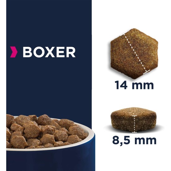 Eukanuba Dry Dog Food Boxer 12 kg Eukanuba Dry Dog Food Boxer 12 kg