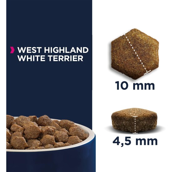 Eukanuba Dry Dog Food Breed Nutrition with West Highland Terrier, 2.5 kg Eukanuba Dry Dog Food Breed Nutrition with West Highland Terrier, 2.5 kg