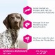Eukanuba Platinum Performance All Working and Endurance Chicken, 15 kg Eukanuba Platinum Performance All Working and Endurance Chicken, 15 kg