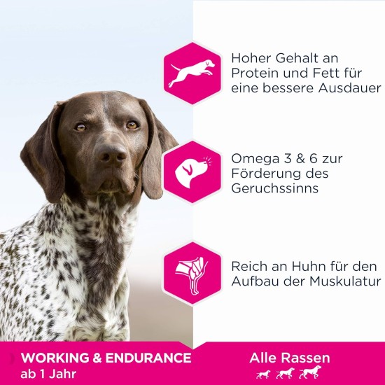 Eukanuba Platinum Performance All Working and Endurance Chicken, 15 kg Eukanuba Platinum Performance All Working and Endurance Chicken, 15 kg