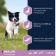 Eukanuba Puppy Food with Lamb & Rice for Small and Medium Breeds - Dry Food for Junior Dogs, 12 kg Eukanuba Puppy Food with Lamb & Rice for Small and Medium Breeds - Dry Food for Junior Dogs, 12 kg