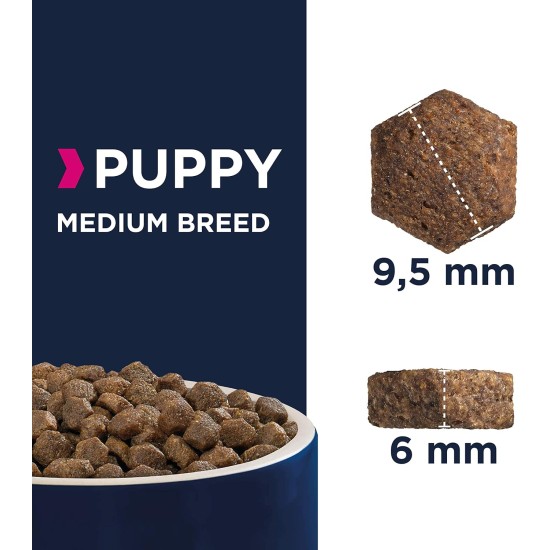 Eukanuba Small Breed Dog Food Premium Dry Fresh Chicken Food - Various Ages, 15 kg Eukanuba Small Breed Dog Food Premium Dry Fresh Chicken Food - Various Ages, 15 kg