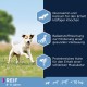 Eukanuba Small Breed Dog Food Premium Dry Fresh Chicken Food - Various Ages, 3 kg Eukanuba Small Breed Dog Food Premium Dry Fresh Chicken Food - Various Ages, 3 kg