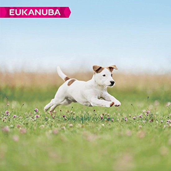 Eukanuba Small Breed Dog Food Premium Dry Fresh Chicken Food - Various Ages, 3 kg Eukanuba Small Breed Dog Food Premium Dry Fresh Chicken Food - Various Ages, 3 kg