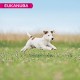 Eukanuba Small Breed Dog Food Premium Dry Fresh Chicken Food - Various Ages, 3 kg Eukanuba Small Breed Dog Food Premium Dry Fresh Chicken Food - Various Ages, 3 kg