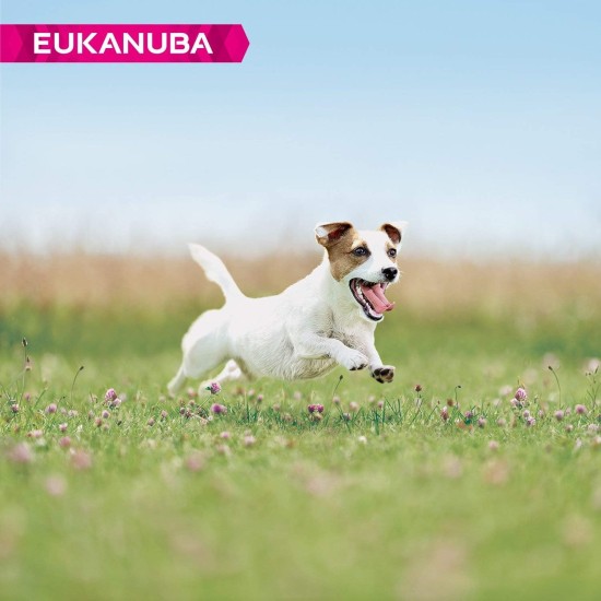 Eukanuba Small Breed Dog Food Premium Dry Fresh Chicken Food - Various Ages, 3 kg Eukanuba Small Breed Dog Food Premium Dry Fresh Chicken Food - Various Ages, 3 kg