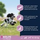 Eukanuba Small Breed Dog Food Premium Dry Fresh Chicken Food - Various Ages, Puppy, 15 kg Eukanuba Small Breed Dog Food Premium Dry Fresh Chicken Food - Various Ages, Puppy, 15 kg