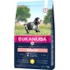 Eukanuba Small Breed Dog Food Premium Dry Fresh Chicken Food - Various Ages, Senior, 3 kg Eukanuba Small Breed Dog Food Premium Dry Fresh Chicken Food - Various Ages, Senior, 3 kg