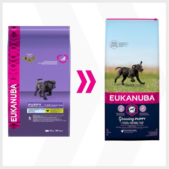 Eukanuba puppy dog food for large dogs, rich in fresh chicken, 12 kg Eukanuba puppy dog food for large dogs, rich in fresh chicken, 12 kg