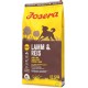 JOSERA Lamb & Rice (1 x 12.5 kg) | Adult | Premium Dry Food for Adult Dogs | Rice & Lamb as the Only Animal Protein Source | Particularly Well Tolerated | Wheat Free | Pack of 1 JOSERA Lamb & Rice (1 x 12.5 kg) | Adult | Premium Dry Food for Adult Dogs | Rice & Lamb as the Only Animal Protein Source | Particularly Well Tolerated | Wheat Free | Pack of 1