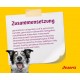 JOSERA MiniSenior (5 x 900 g) | Senior Mini | Premium Dry Food for Adult Older Dogs Small Breeds | Salmon & Potato | Small Croquettes | Grain-Free | Dog Food | Pack of 5 JOSERA MiniSenior (5 x 900 g) | Senior Mini | Premium Dry Food for Adult Older Dogs Small Breeds | Salmon & Potato | Small Croquettes | Grain-Free | Dog Food | Pack of 5
